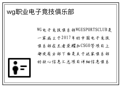 wg职业电子竞技俱乐部