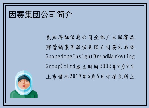 因赛集团公司简介